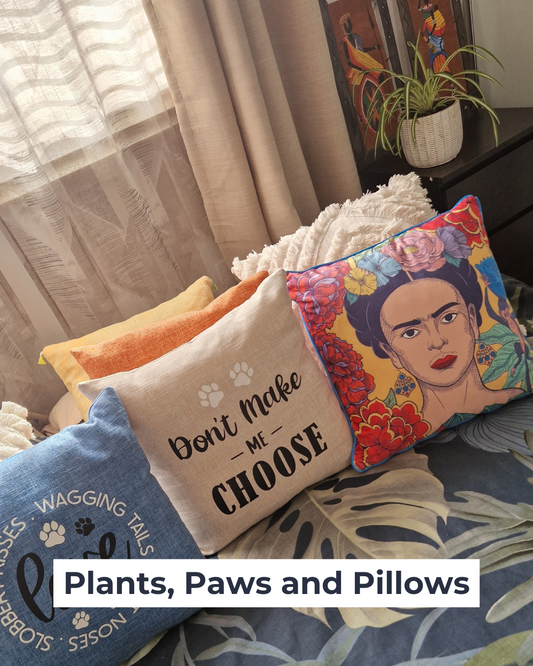 Plants, Paws and Pillows