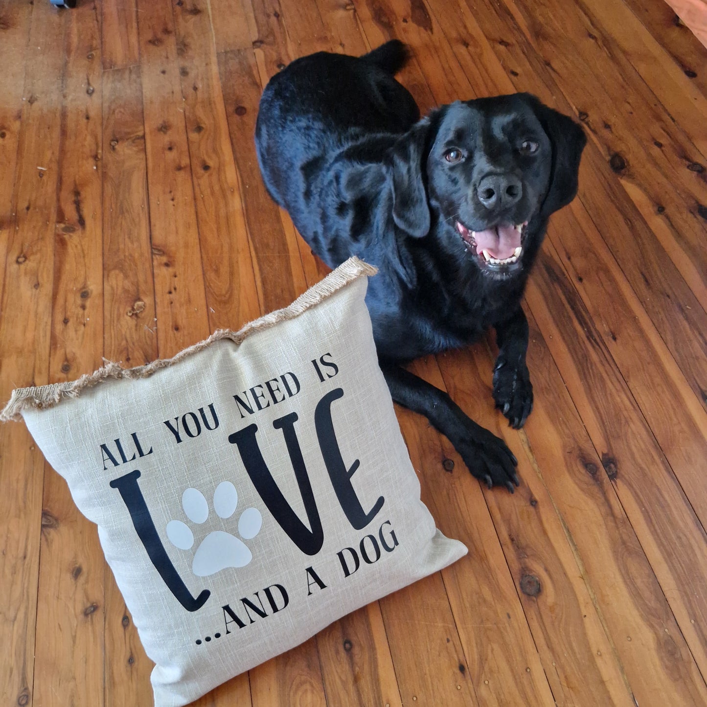 All You Need is Love… and a Dog