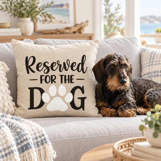 Terrier dog next to reserved for the dog cushion sitting on sofa