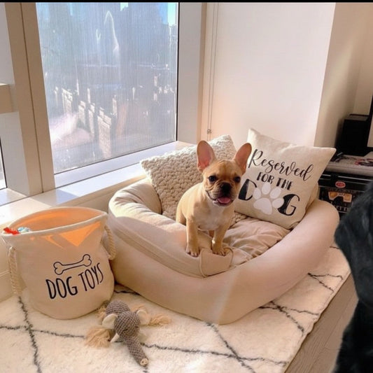 Are dog beds worth it?