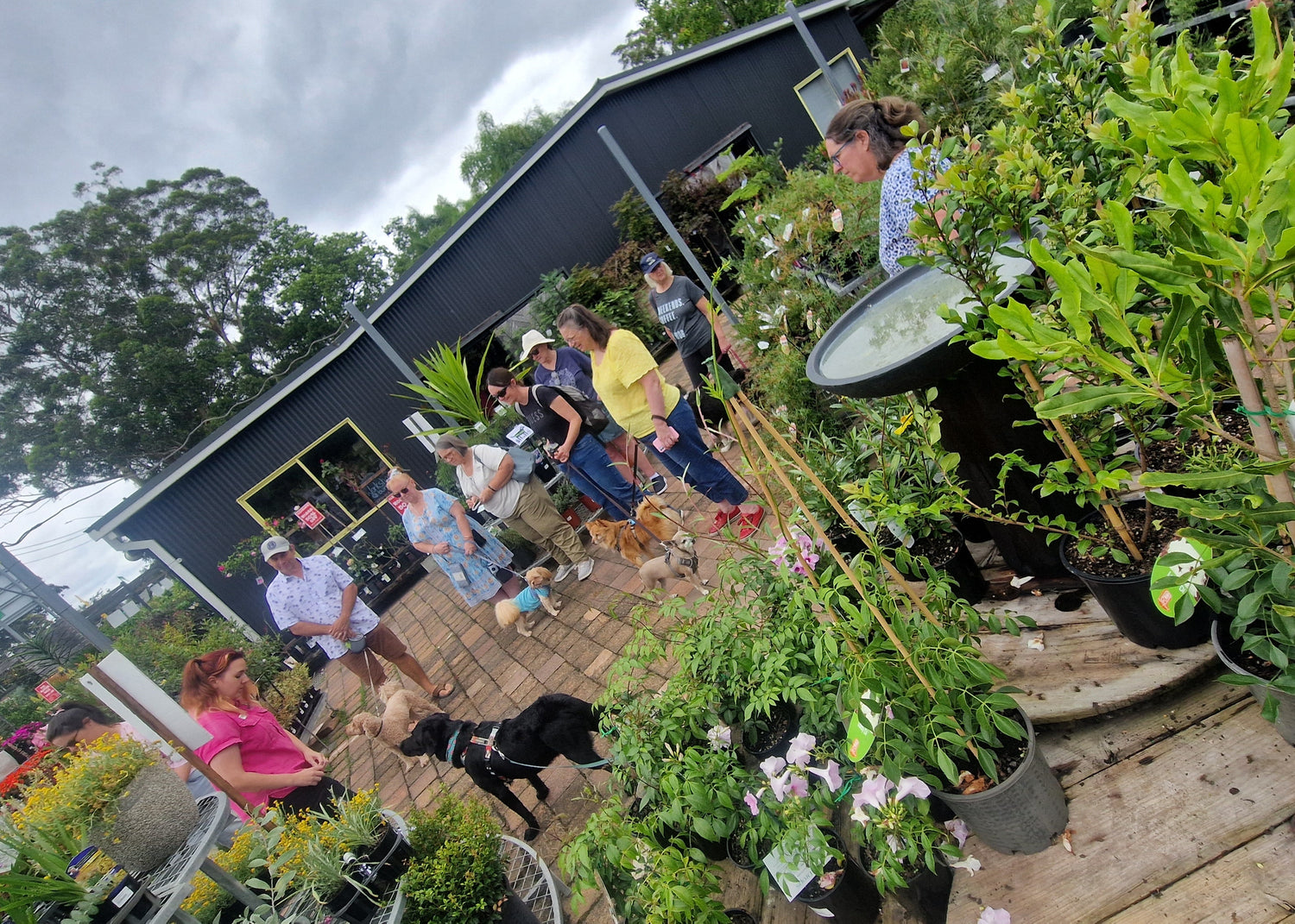 A high-angle, wide-angle shot of a busy outdoor garden center or nursery. Several people are seen browsing among numerous potted green plants on a wooden deck in front of a modern dark gray building.