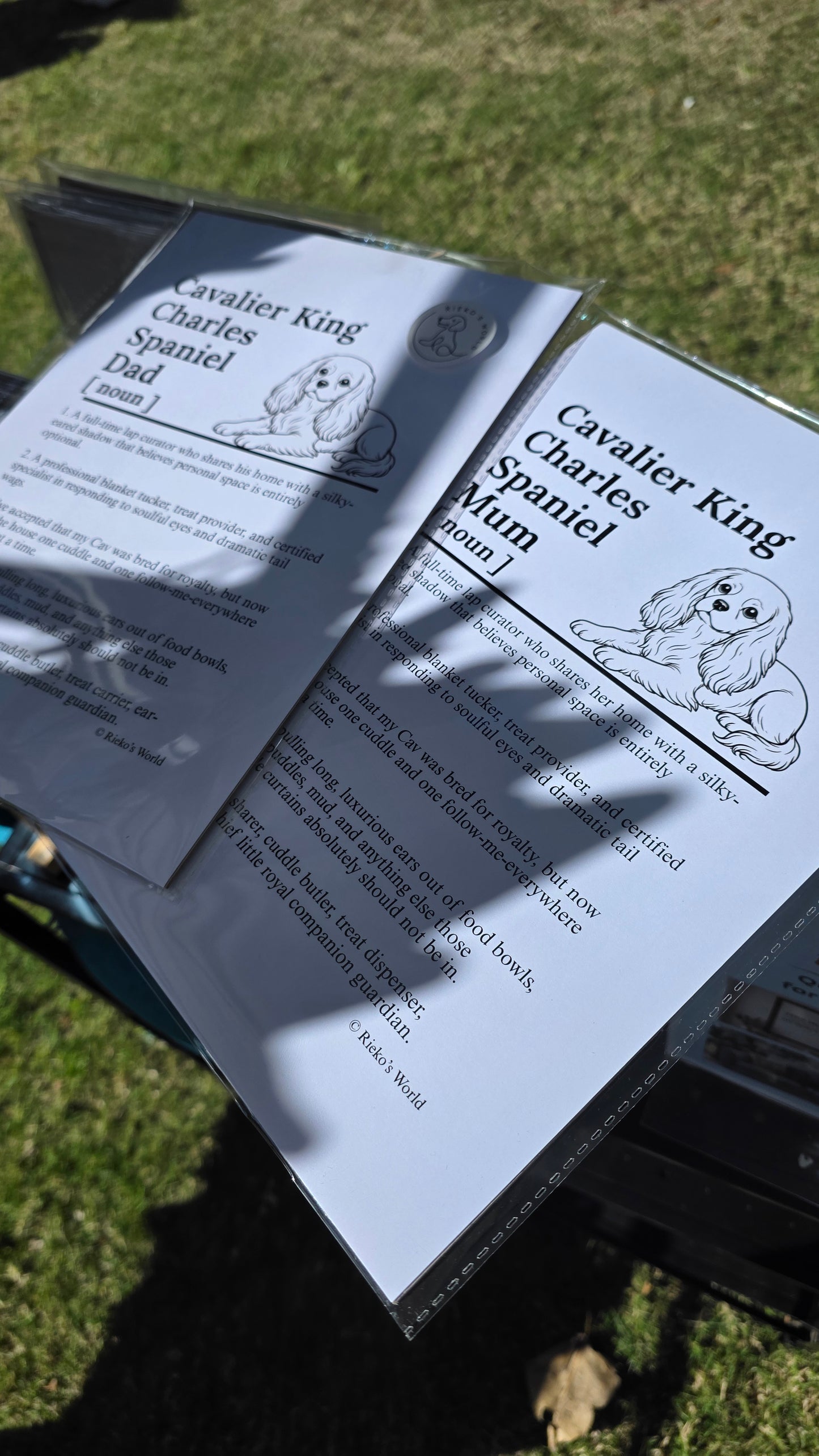 Two printed informational cards about Cavalier King Charles Spaniel dogs, one labeled Dad and one labeled Mum, placed outdoors on grass with shadows across them.