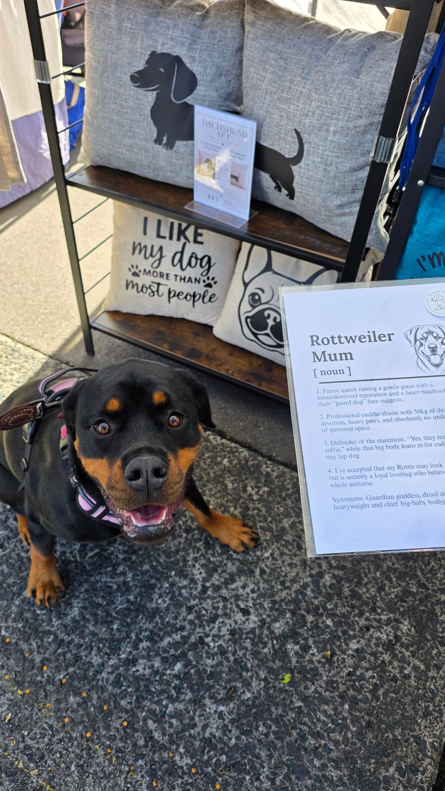 A Rottweiler dog wearing a pink harness sits on a gray pavement next to a display stand featuring dog-themed pillows and a sign labeled 'Rottweiler Mum [moon]'.