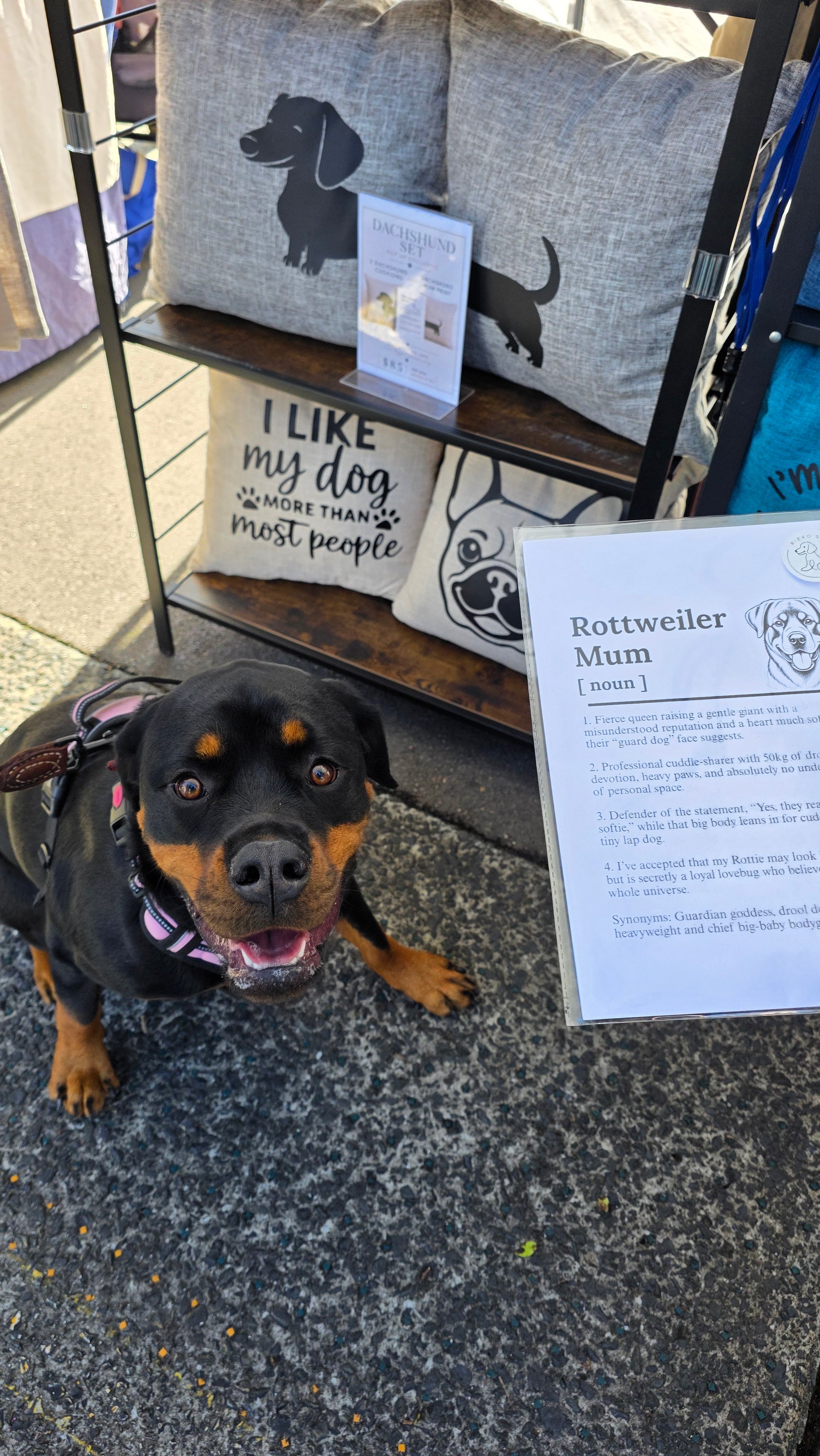 A Rottweiler dog wearing a pink harness sits on a gray pavement next to a display stand featuring dog-themed pillows and a sign labeled 'Rottweiler Mum [moon]'.