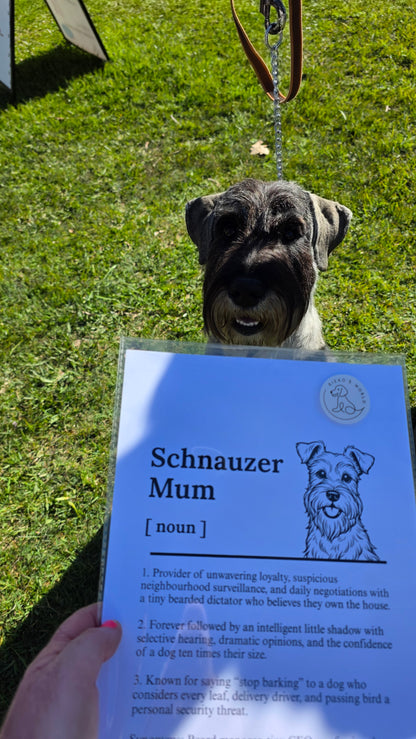 A Schnauzer dog sitting on a green grass lawn, holding a blue educational sign that reads 'Schnauzer Mum [noun]' with a dictionary-style definition and a small dog illustration. A human hand is visible holding the bottom left corner of the sign.