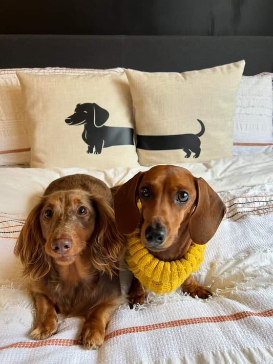 Dachshund Cushion Pair | Long Dog Mum Gift | Rieko's World