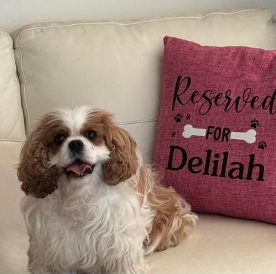 A social media post from Cath Rieko's World featuring a small brown and white dog sitting on a beige couch next to a pink pillow that reads 'Reserved for Delilah'.
