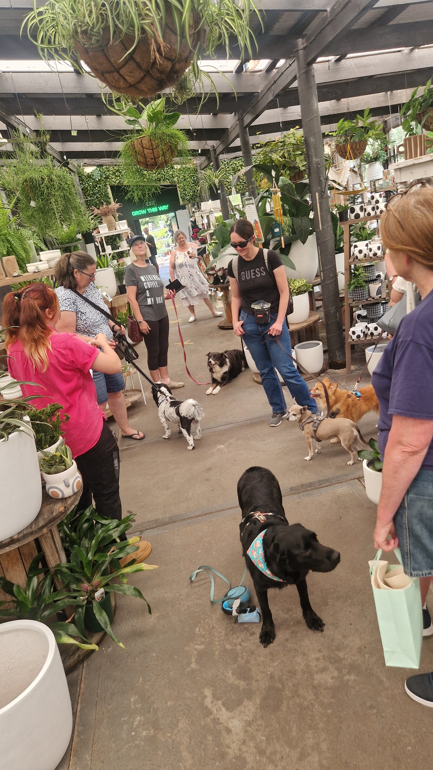 A busy indoor plant nursery or pet-friendly shop scene with several people and dogs walking through a covered aisle surrounded by potted plants and hanging greenery. A woman in a black graphic T-shirt stands near the center, and a black dog wearing a blue bandana walks in the foreground.
