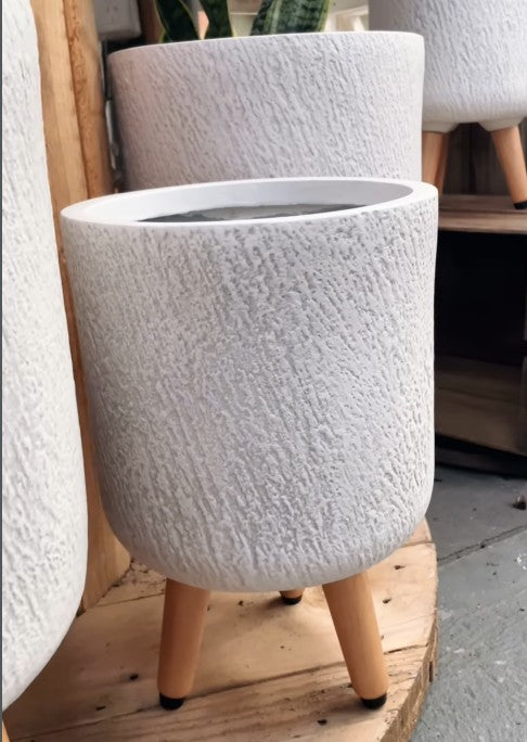 14th Feb - Paws & Pots: A Dog-Friendly Garden Tour at Burbank