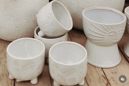 14th Feb - Paws & Pots: A Dog-Friendly Garden Tour at Burbank