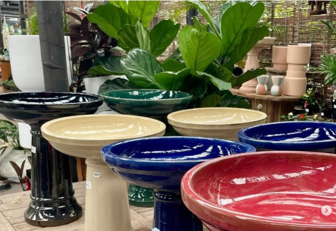 14th Feb - Paws & Pots: A Dog-Friendly Garden Tour at Burbank