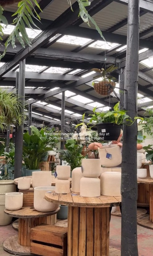 14th Feb - Paws & Pots: A Dog-Friendly Garden Tour at Burbank