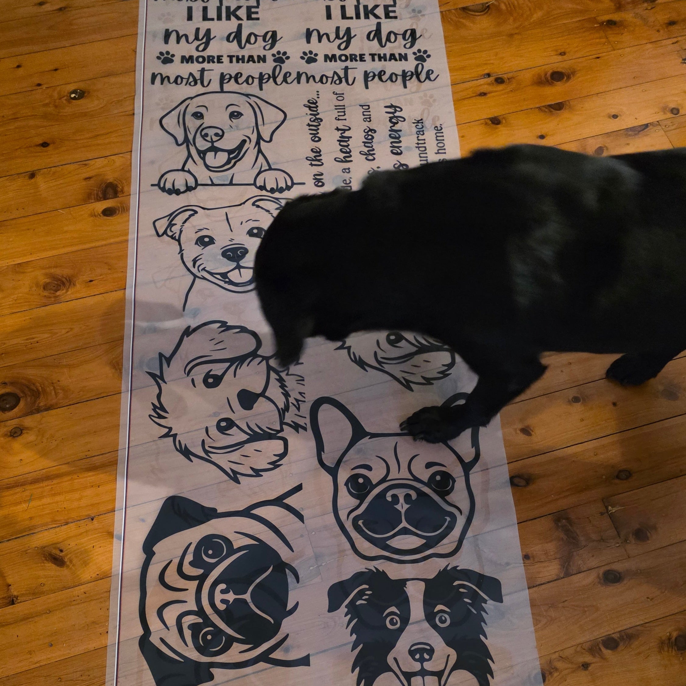 A long printed mat or poster laid on a wooden floor, featuring black dog illustrations, the phrase 'Reserved for the DOG,' and handwritten-style text. A black dog stands on the mat, which is photographed in a real indoor environment with visible floorboards.