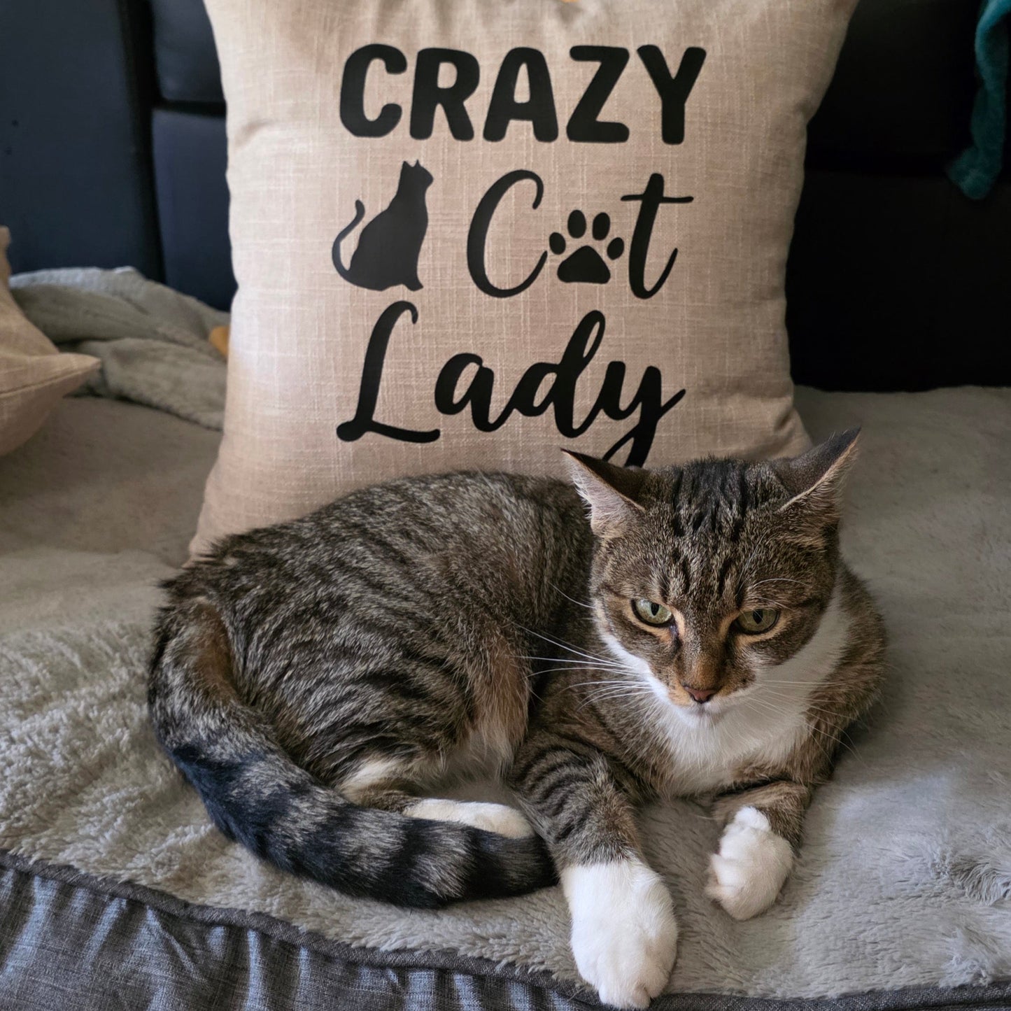 Crazy Cat Lady Quote Cushion Cover