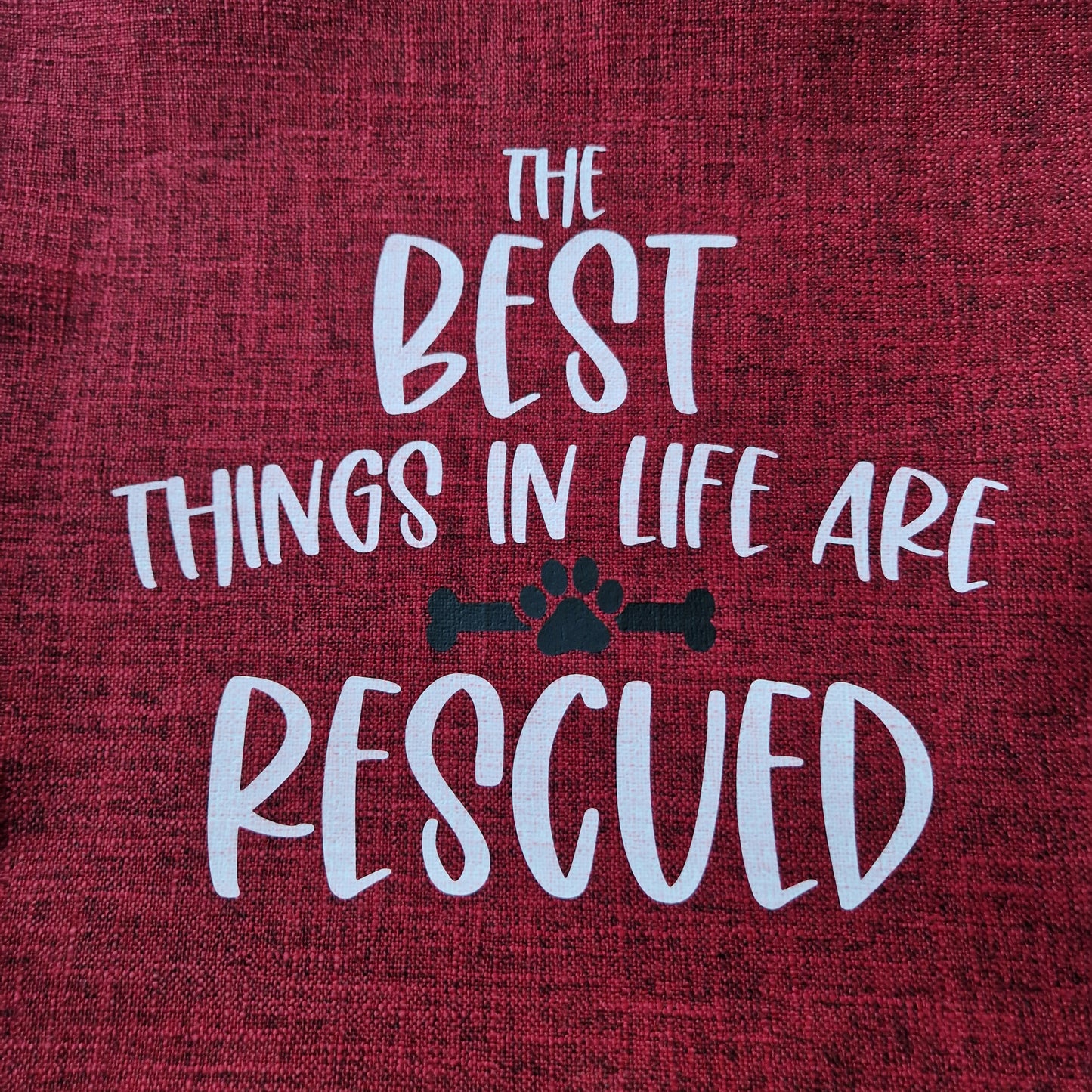 The Best Things In Life Are Rescued